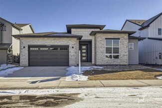 4352 Trader St, Timnath, CO 80547