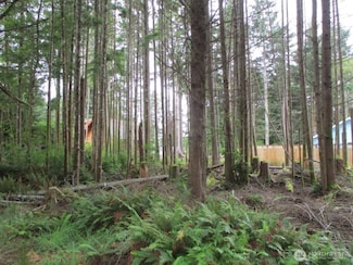 111 Olympic View Ave NE, Ocean Shores, WA 98569
