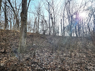 Lot 839 Lake Wildwood Dr, Varna, IL 61375