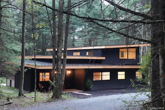 233 Goldsmith Rd, Jeffersonville, NY 12748