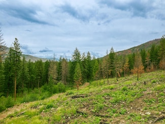 0 Wolf Creek Rd Unit 19887277, Mazama, WA 98833