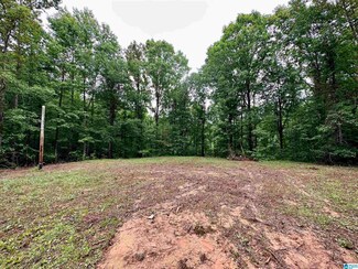 1162 Donahoo Ln, Sylacauga, AL 35151