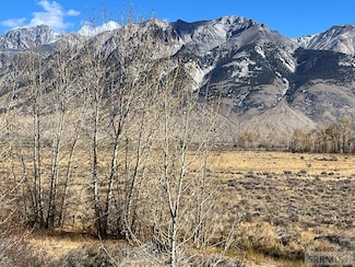 5500 N Chilly Rd, MacKay, ID 83251