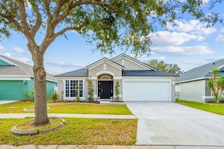 11519 Misty Isle Ln, Riverview, FL 33579