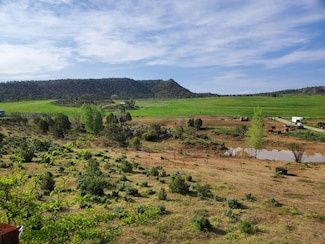 6526 County Road 331, Silt, CO 81652