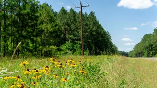 55602 La-191, Florien, LA 71429