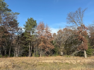 L6,Blk1 262nd Ave NW, Orrock Township, MN 55309