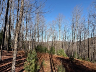 0 Alder Brook Rd, Bolton Landing, NY 12814