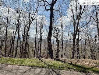 Lot 38 Crown Spruce Ln, West Jefferson, NC 28694