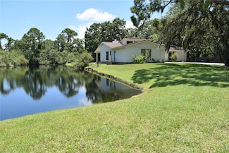 12806 Twin Branch Acres Rd, Tampa, FL 33626