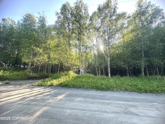 L 8 Wapiti, Nikiski/North Kenai, AK 99635