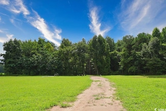 TBD Spring Branch Rd, Nichols, SC 29581