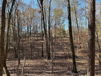 0 Dove Hill Rd Unit 25439972, Royston, GA 30662