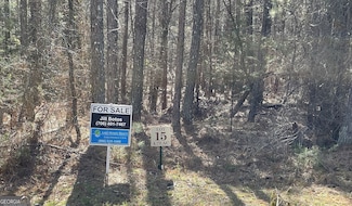 LOT 15 Blackberry Bend, Elberton, GA 30635