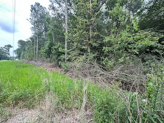 114 Holley, Colerain, NC 27924