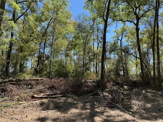 Lot 25,26 SW 177th Ct, Dunnellon, FL 34432