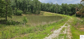 15986 Squirrel Run Dr, Warsaw, MO 65355