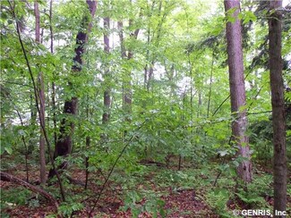 0 County Road 49 Unit R280818, Caneadea, NY 14717