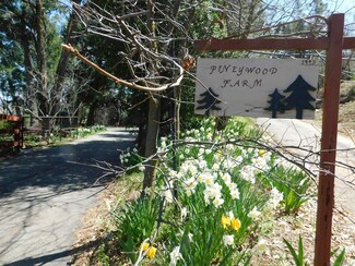 2225 Highway 78, Julian, CA 92036