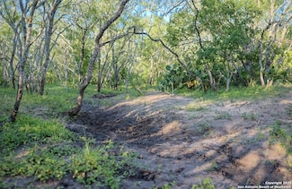 000 County Line Rd # 120, Beeville, TX 78102