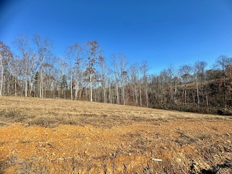 0 Taylor Cir Unit RTC2764385, Tennessee Ridge, TN 37178