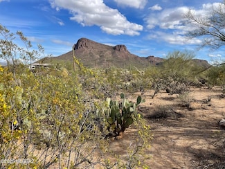 7305 N van Ark Rd Unit 1, Tucson, AZ 85743