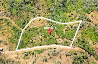 0 Pine Tree Ln Unit 225081731, Berry Creek, CA 95916