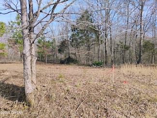 00 Stan Ln, Cedar Grove, TN 38321