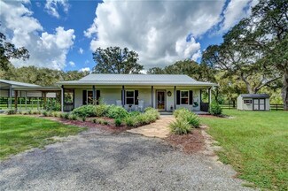 801 Burnsed Rd, Pierson, FL 32180