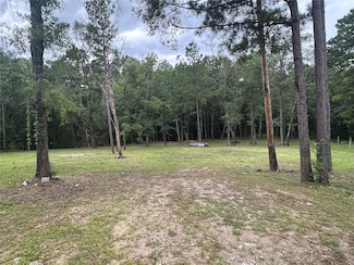 97 Oak Tree Dr, Point Blank, TX 77364