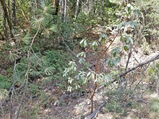 0 Highland Ranch Rd Unit 220108022, Grants Pass, OR 97526