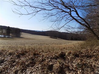 801 Gibbon Glade Rd, Farmington, PA 15437