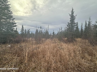 005 Wells St, Ninilchik, AK 99639