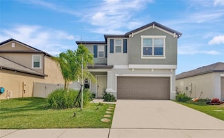 5432 Rainwood Meadows Dr, Apollo Beach, FL 33572