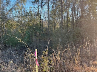 Tbd Coreville Ave, Alford, FL 32420