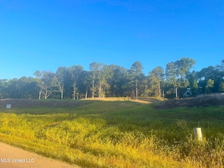 2742 Plank Rd, Hernando, MS 38632