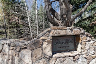 331 S Aspen St Unit 4, Telluride, CO 81435