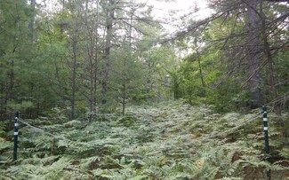 0 Riverside Trail Unit 8.5 Acres 321179, Nunda Township, MI 49799