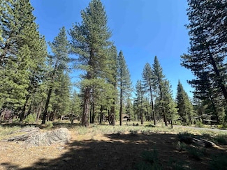 11651 Bottcher Loop, Truckee, CA 96161