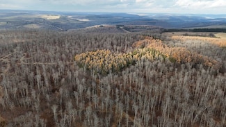 Stiles Road Lot Unit WP001, Westfield, PA 16950