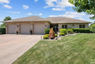 12828 25th Street Ct, Milan, IL 61264