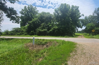 314 S E St, Poplar Bluff, MO 63901