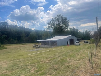 6608 Sand Valley Rd, Attalla, AL 35954