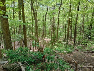 0 Blueberry Hill Rd, Grafton, NH 03240