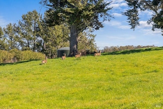 511 Fairview Ct, Petaluma, CA 94952