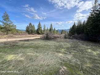 830 Pokey Creek Rd, Santa, ID 83861