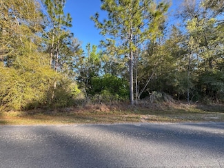 7898 N Pocono Dr, Citrus Springs, FL 34434