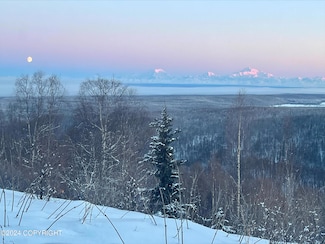 15300 W Willow Fishhook Rd, Willow, AK 99688