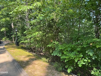 2432 Hawks Nest Way, Sevierville, TN 37862