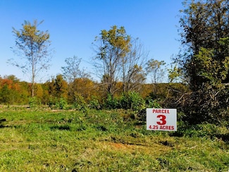 4.25 Strawberry Rd, Chatham, VA 24531